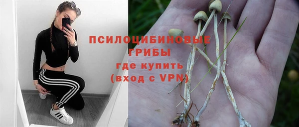 mdpv Алексин