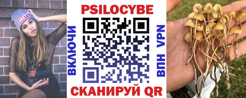 Псилоцибиновые грибы MAGIC MUSHROOMS  Бобров 